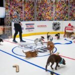 Miranda Lambert, Mickey Guyton & Kristin Chenoweth to Appear on NHL ‘Stanley Pup’ Rescue Dog Competition