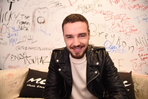 Liam Payne posing