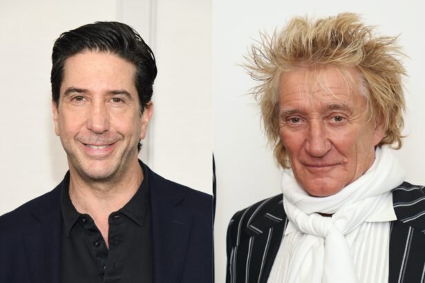 DavidSchwimmer Rod Stewart divorce papers