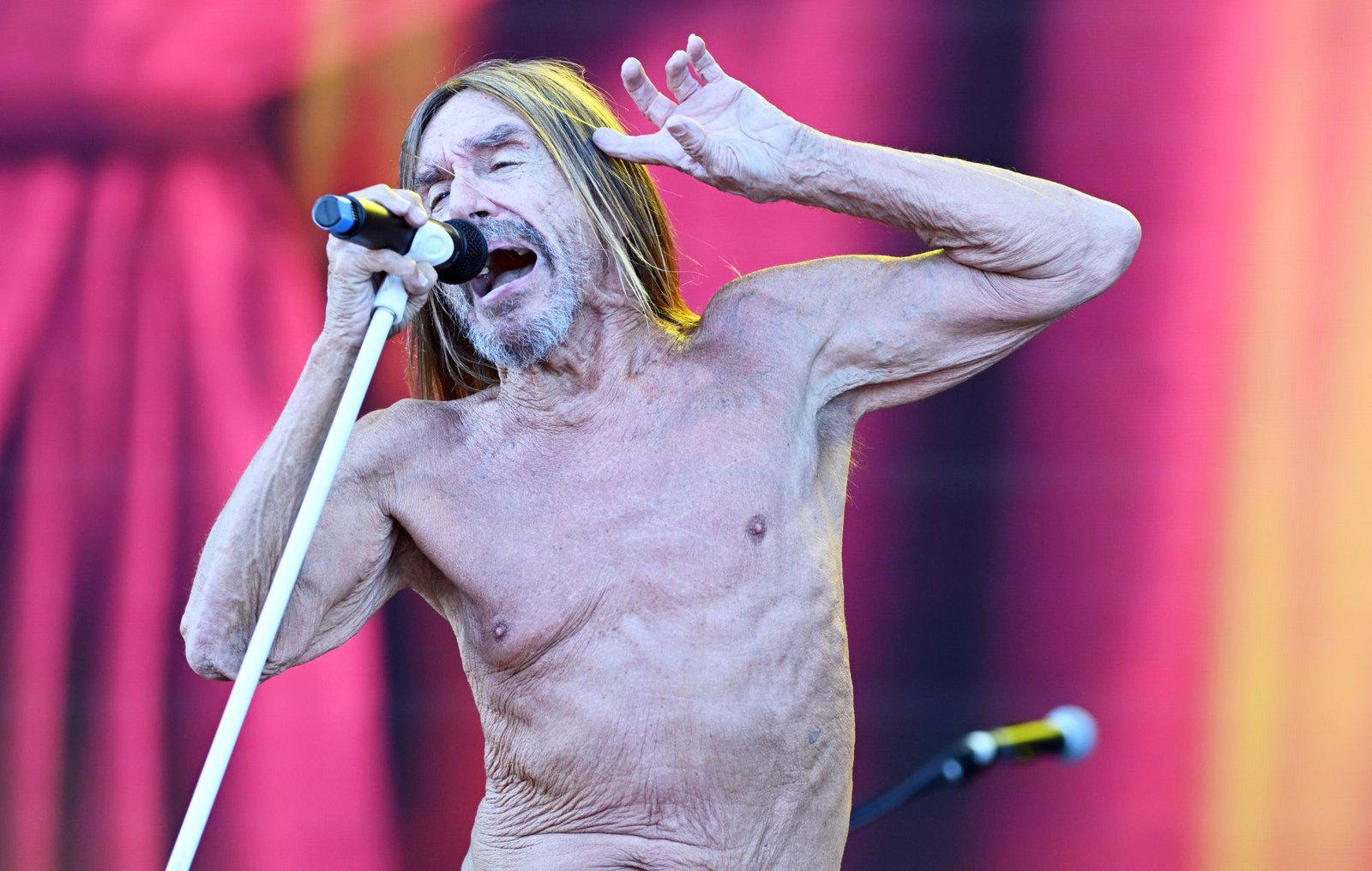 iggy pop@2000x1270